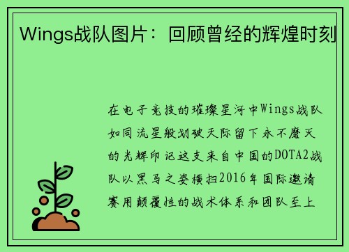 Wings战队图片：回顾曾经的辉煌时刻